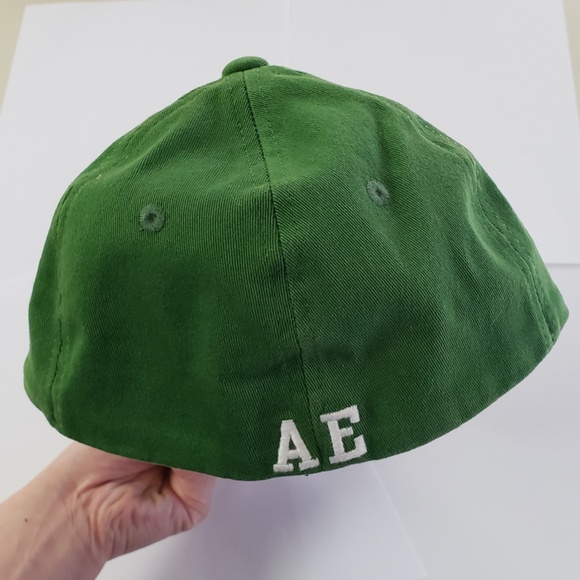 American Eagle Outfitters AE White Embroidered Eagle Green Ball Cap Hat AE - Picture 14 of 16